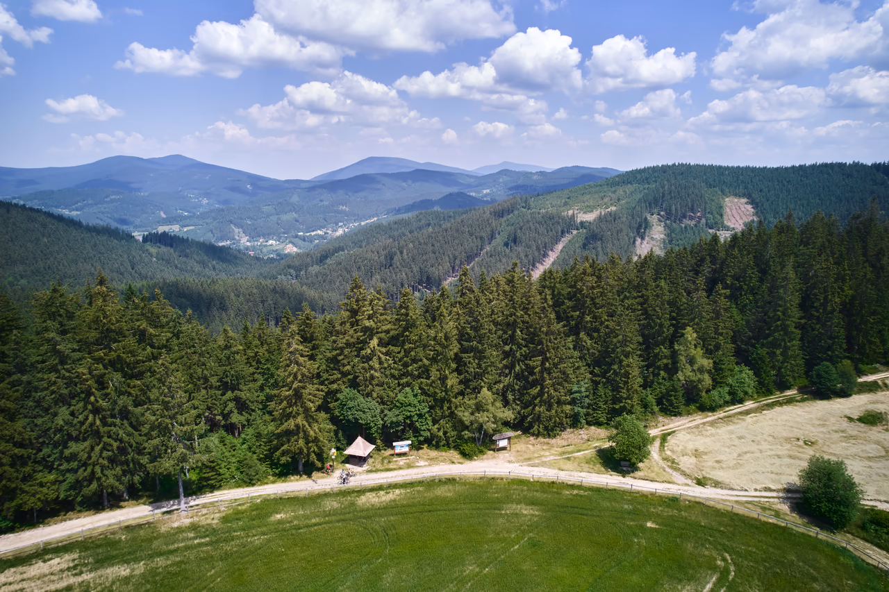 An aerial view of a belt of grassy meadows on the ridge hemmed in by spruce forest, a valley with scattered houses and wooded mountains behind