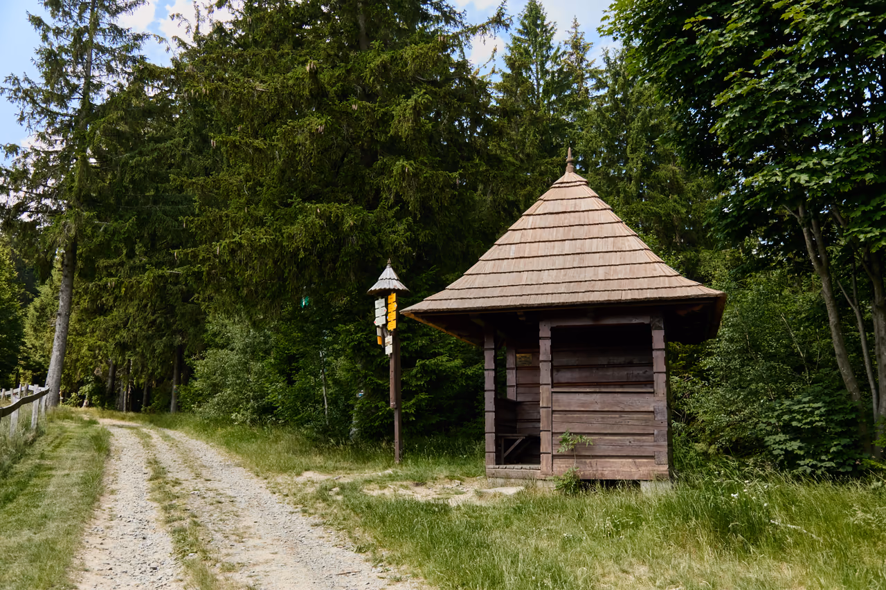 A wooden shelter with a shingled hipped roof and a bench inside, a signpost beside it, spruce forest and a gravel track around