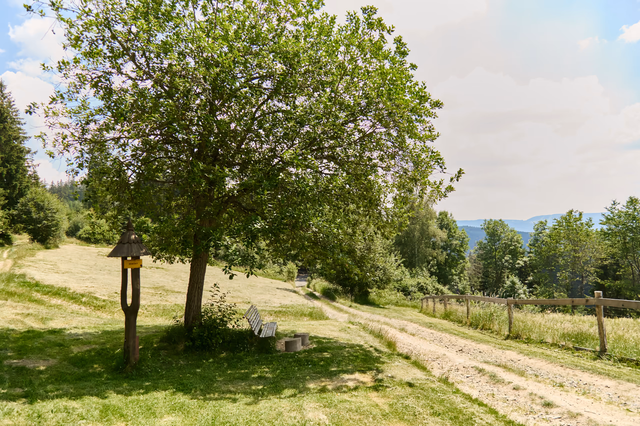 A mown meadow on the ridge, a bench and a wooden signpost with a yellow plate under a mature tree, a wooden fence rail on the right and a view of wooded ridges