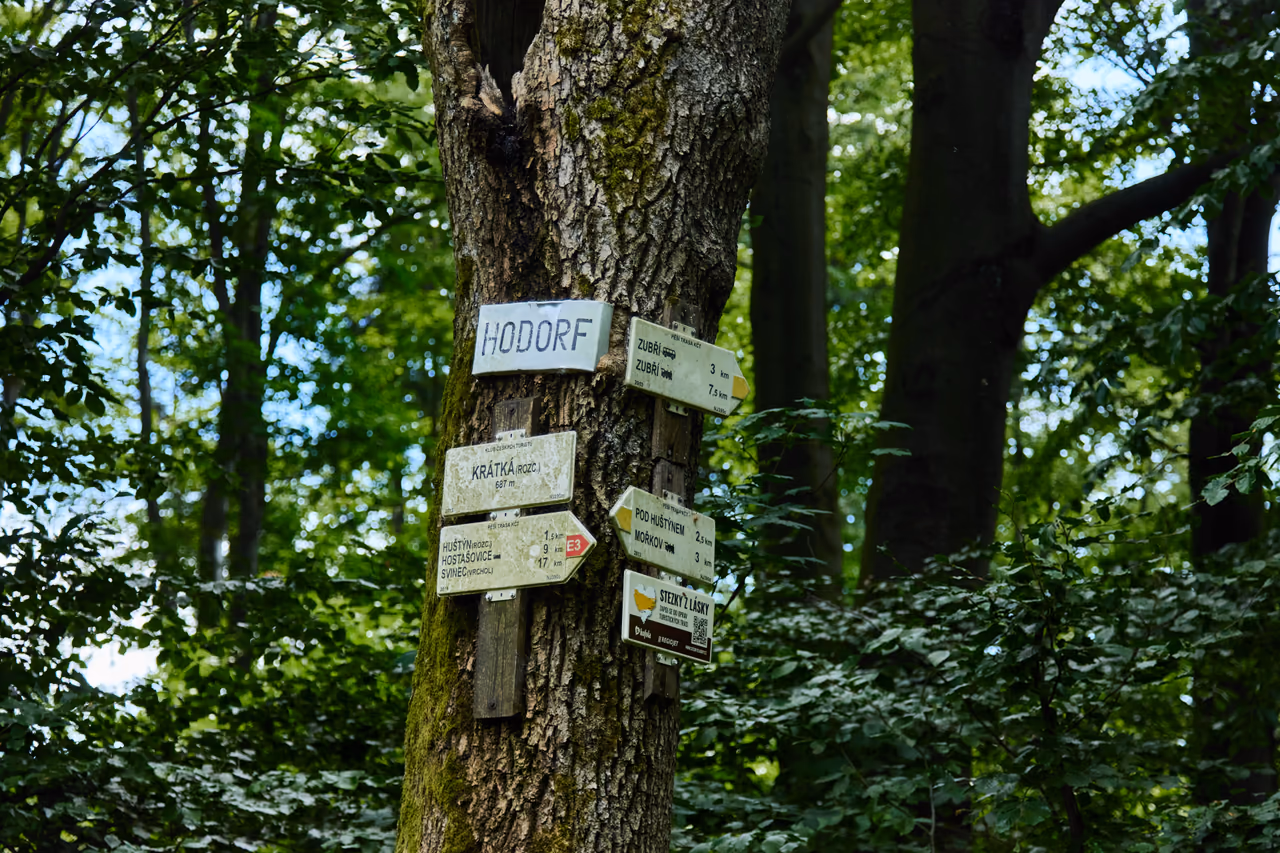 Turistický rozcestník na kmeni buku: bílá cedule s nápisem HODORF, pod ní směrovky Krátká (rozc.) 687 m, Huštýn, Zubří a Mořkov