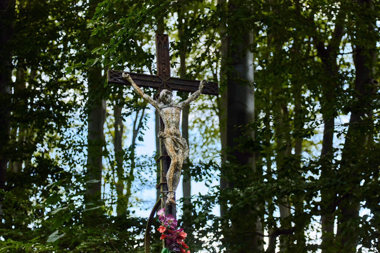 Železný kříž s kamenným korpusem Krista mezi korunami buků, u paty kříže umělé květiny