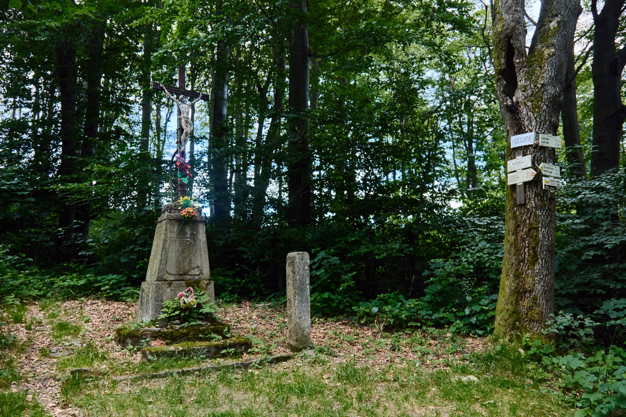 Palouk v bukovém lese: železný kříž na vysokém kamenném podstavci, vedle nízký kamenný sloupek a vpravo strom s turistickým rozcestníkem