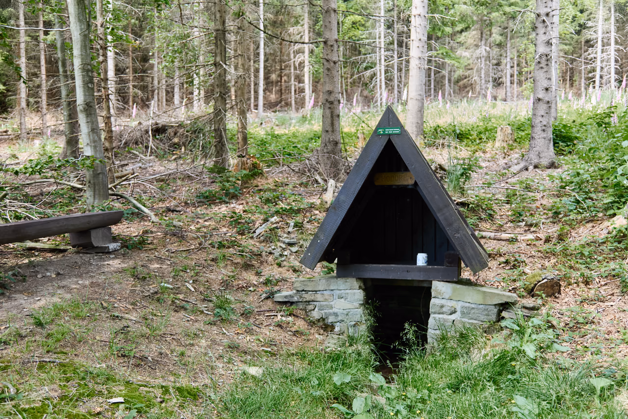 Studánka v lese: kamenná obruba s dřevěnou stříškou nad výtokem, na střeše cedulka, vedle dřevěná lavice