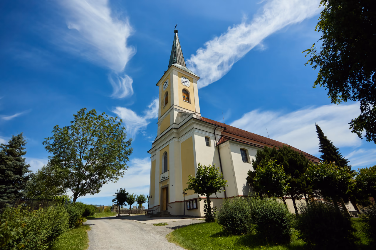 Kościół św. Katarzyny z wieżą - widok od drogi dojazdowej ze szpalerem drzew