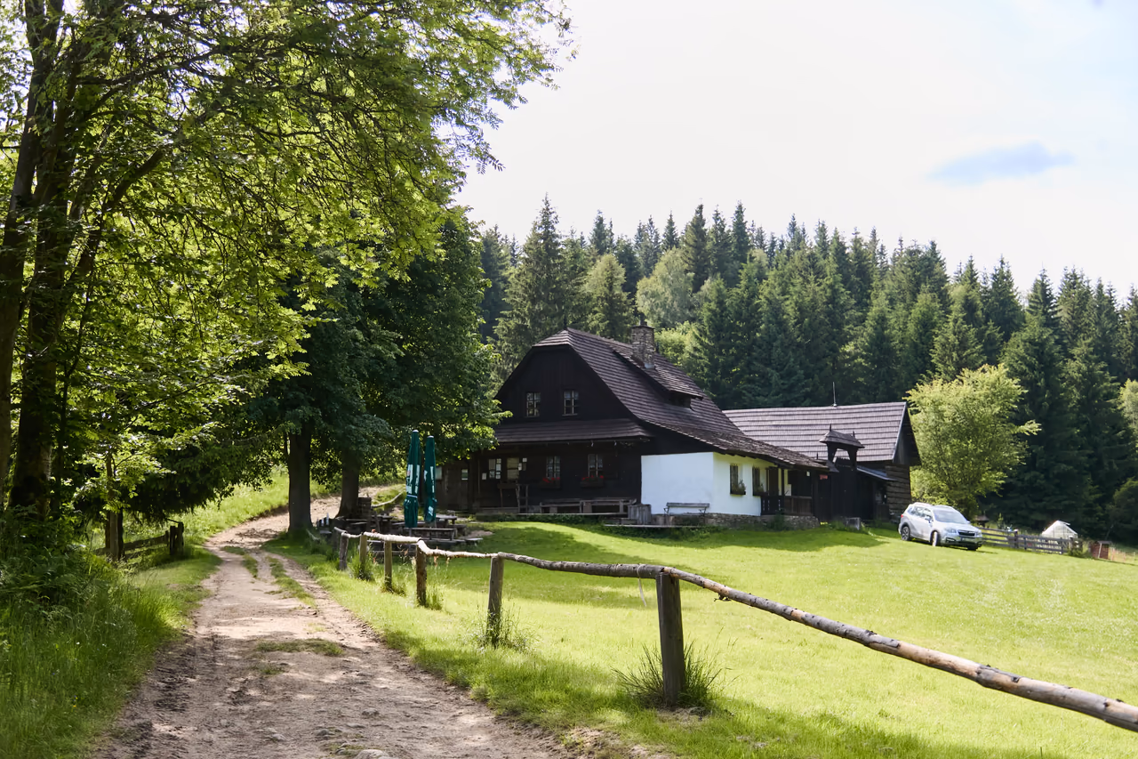 Vyšlapaná lesní cesta ve stínu vzrostlých stromů, podél ní dřevěné hrazení z tenkých kmenů, vpravo travnatá louka a v pozadí tmavá dřevěná chalupa