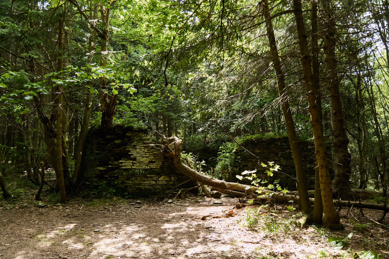 Niedrige Steinmauern einer ehemaligen Hütte im Bergwald, im Vordergrund ein ausgetretener Waldpfad, quer über dem Mauerwerk liegt ein umgestürzter Stamm