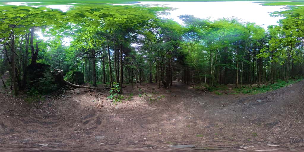 360°-Blick von den Mauerresten der Greiffka: niedrige Steinmauern im Bergwald am Wanderpfad