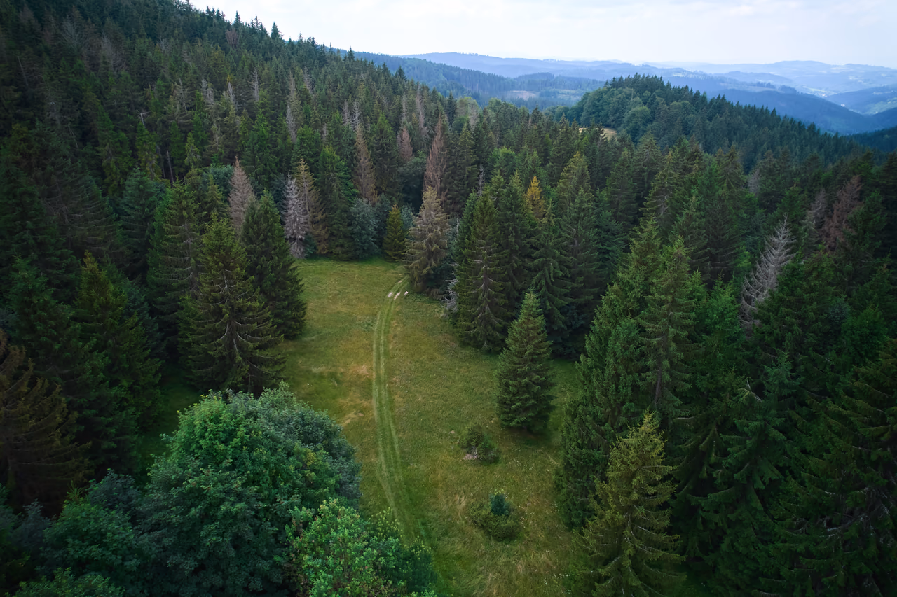 Letecký pohled na palouk s pěšinou uprostřed lesa, v pozadí zvlněná krajina Vsetínských vrchů