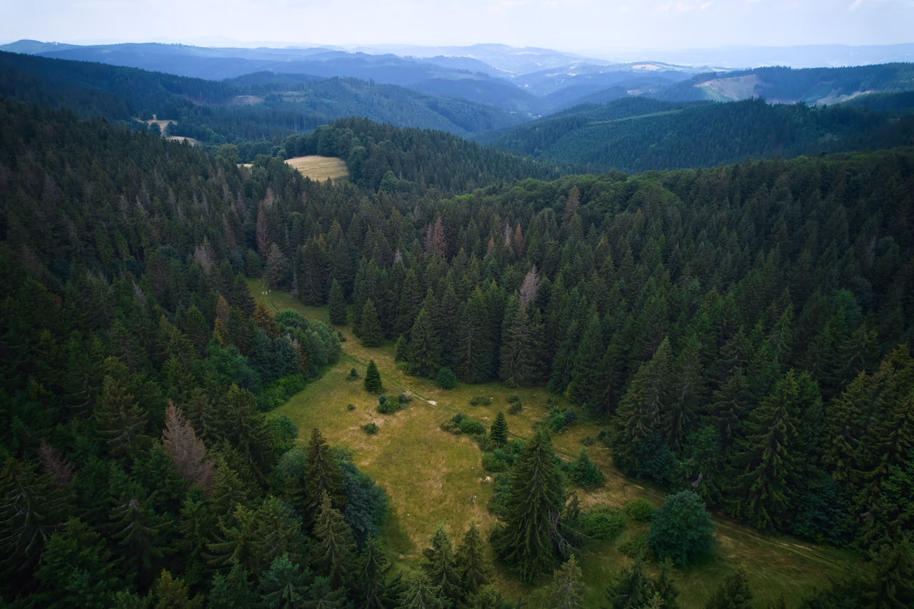 DJI_0985.avif