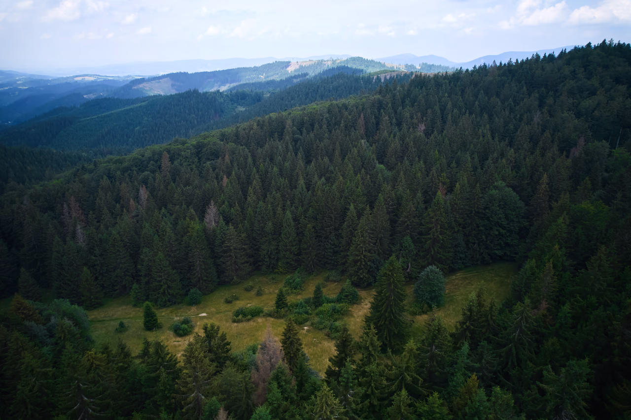 DJI_0988.avif
