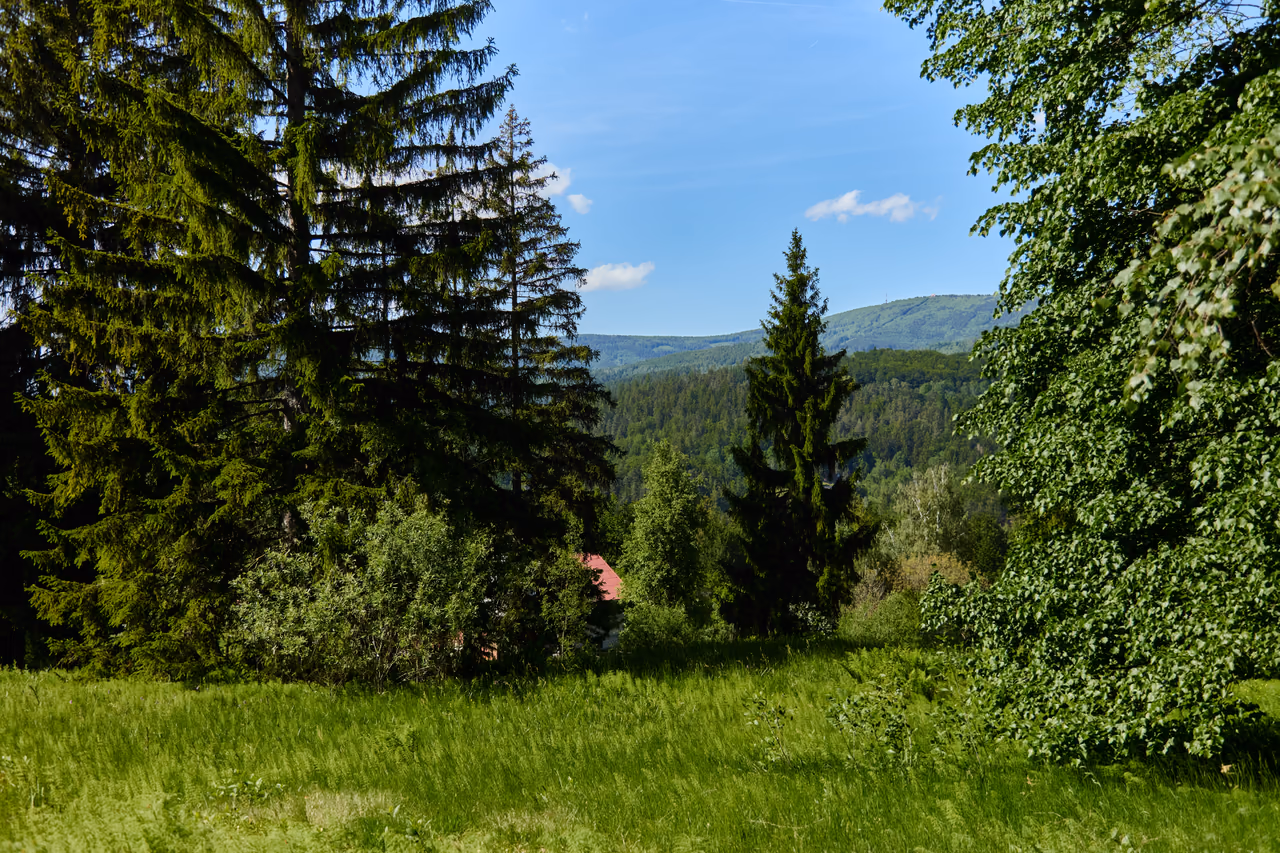The Poskla nature monument – a view across the meadow to the surrounding hills