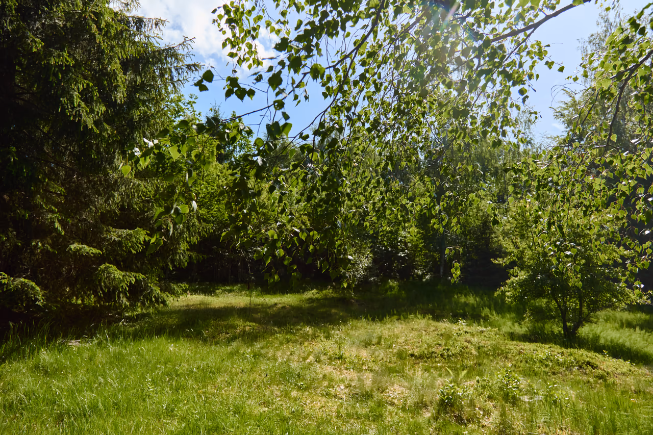 The Poskla nature monument – a clearing at the edge of the wood