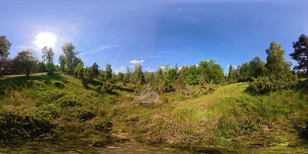 Poskla - Meadow 1