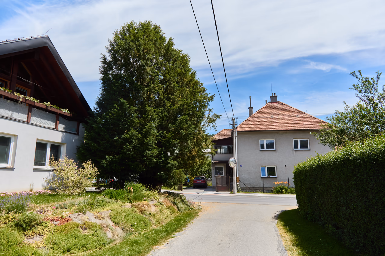 Pohled z příjezdové cesty mezi domy: vlevo stavení s dřevěným štítem a skalkou, uprostřed vysoká tmavá koruna tisu, vpravo za živým plotem šedý dům s červenou taškovou střechou
